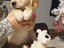 Immagine 6