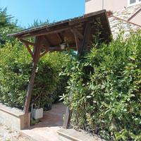 tettoia in legno