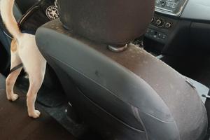 Dacia sandero 1.5 diesel anno 2020