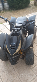 Mini quad