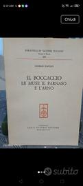 padoan,/ Boccaccio le muse e l Arno 