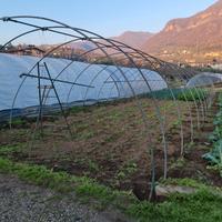 Archi per serre in acciaio zincato