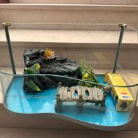 Acquario per tartarughe