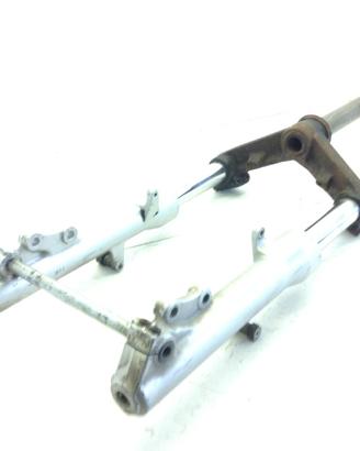 GILERA NEXUS 250 FORCELLA ANTERIORE - PICCOLI PUNT