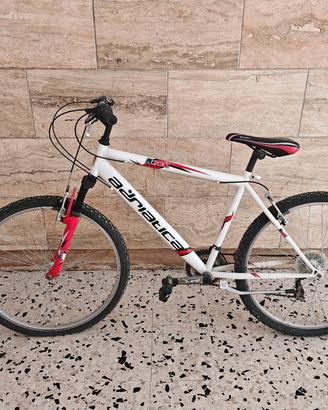 Bici usate 