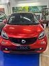 smart-forfour-70-1-0-twinamic-youngster