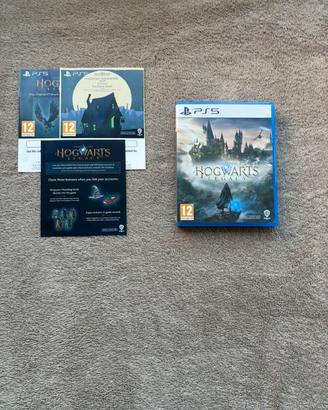 Hogwarts Legacy Sony Ps5 PlayStation