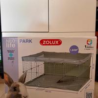 Park coniglio nano/cavia