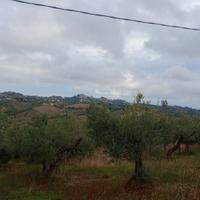 TERRENO EDIFICABILE