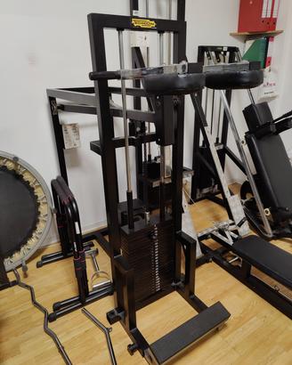 Standing calf Technogym