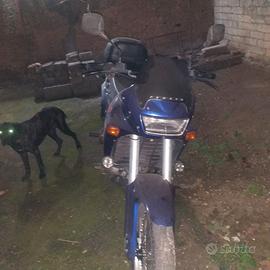 Aprilia pegaso