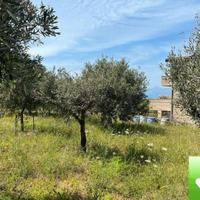 Terreno Agricolo Trapezi 800 Mq