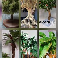 piante per presepi e diorami