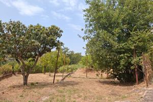 Rustico con terreno