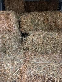 Ballette fieno rettangolari