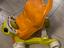 Immagine 4