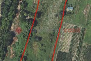 Rustico/Casale/Corte Pistoia [Cod. rif 3302831VCG]