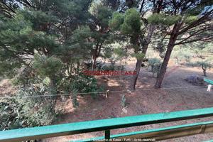 Casa, Belmonte Mezzagno.