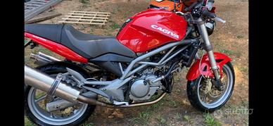 Cagiva raptor 650