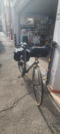 city bike assistita 