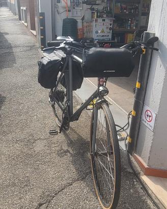 city bike assistita 