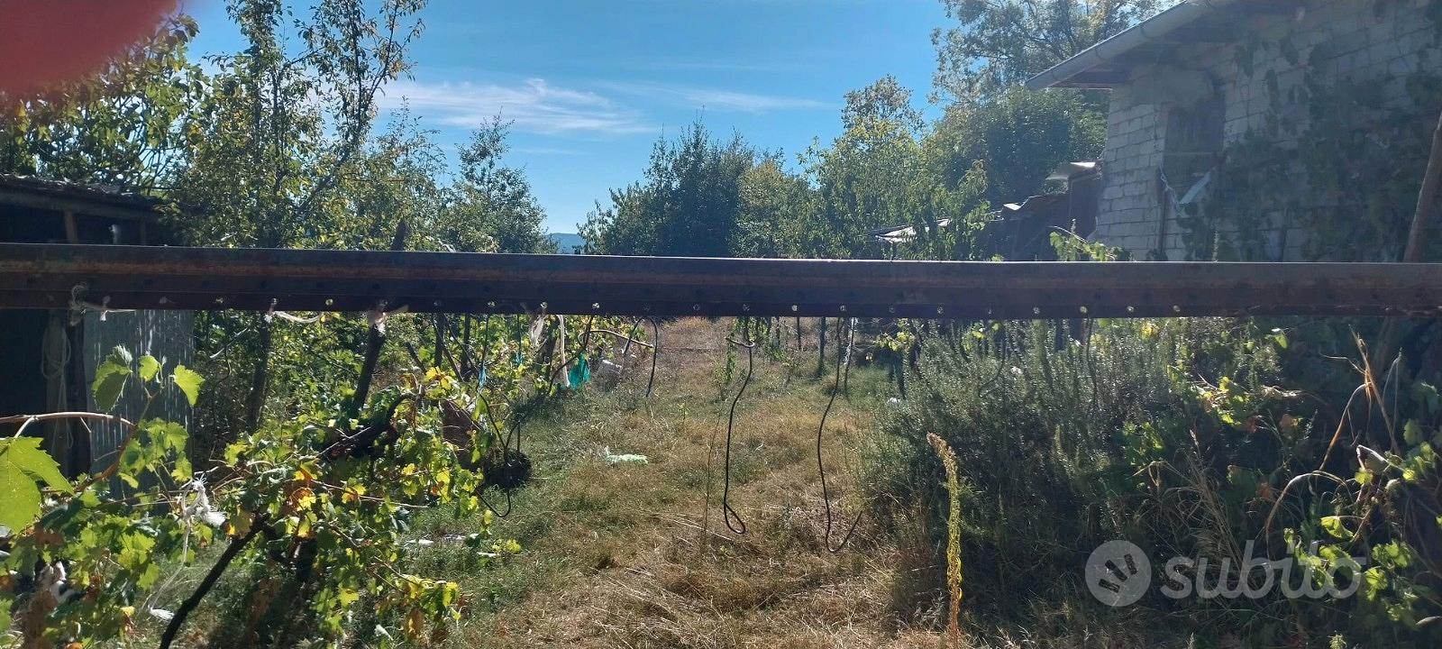 Terreno Agricolo con frutteto e fabbricati - Vista 5