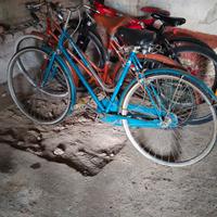 Bicicletta Mountain bike 