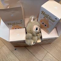 Confezione di 6 Labubu