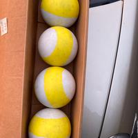 Bocce da gioco
