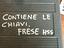 Immagine 5