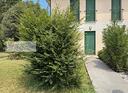 mini-appartamento-al-piano-terra-con-giardino
