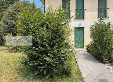 Mini appartamento al piano terra con giardino
