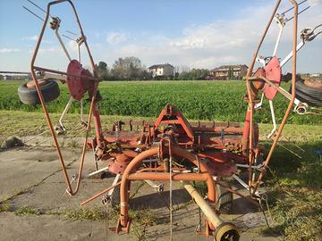 voltafieno pottinger