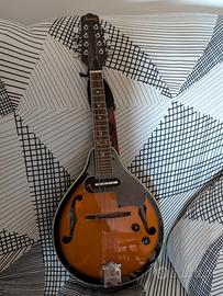 Mandolino IBANEZ M 510e.