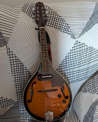 Mandolino IBANEZ M 510e.