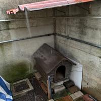 Cuccia e trasportino
