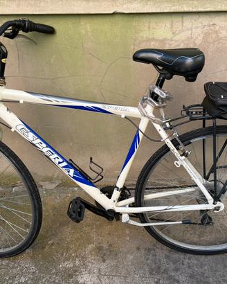Bicicletta city bike Esperia