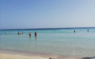 Baia verde 100 metri spiaggia monolocale 3 posti