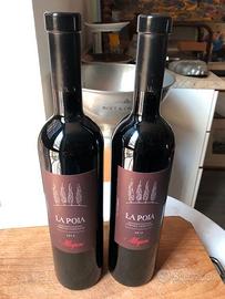 Vino La Poja Allegrini 2013 Monovitigno
