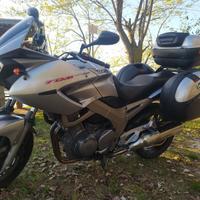 Yamaha TDM 900 - 2003