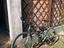 Immagine 1