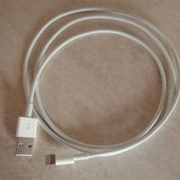 Cavo Lightning originale Apple