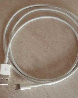 Cavo Lightning originale Apple