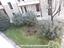 Immagine 17