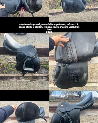 sella prestige appaloosa