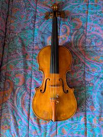 Violino