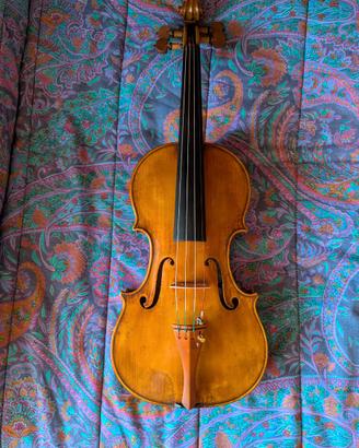 Violino