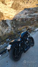 Harley Davidson Sportage 