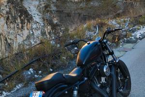 Harley Davidson Sportage 