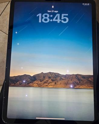 Ipad 11 pro anno 2020